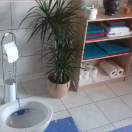 Apartment Ferienwohnung Schmid
